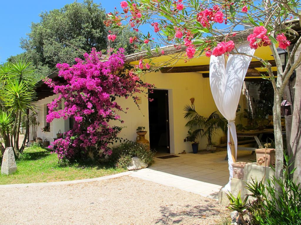 ميليندونيو Alba Bed & Breakfast المظهر الخارجي الصورة
